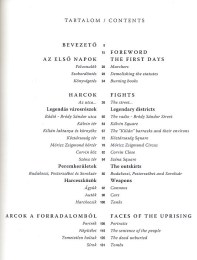 Csiffáry Gabriella (szerk.): \'56 izzó ősze volt... - It was the fervent autumn of \'56...
